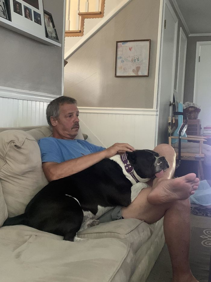 “It’s Too Hot To Have This Dog Sitting On Me Like This...” I Offered To Call Him Over To Me But No It’s Ok... Big Joe With Pablo