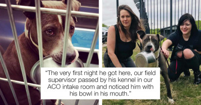 This Rescue Dog Has An Adorable Obsession With His Food Bowl