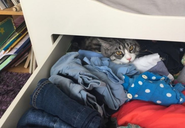 9. “Who dares disturb my slumber?”