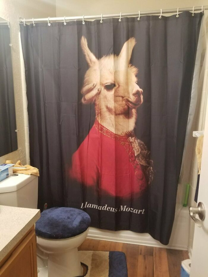 20. 'Whatever It Says' Shower Curtain