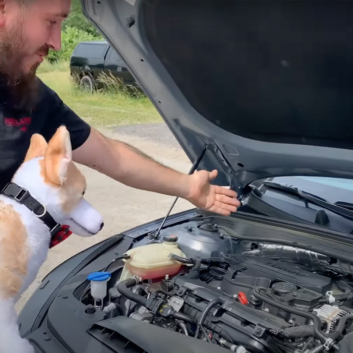 This is where they found the two-month-old kitten. According to Toni Garbo of Firelands Collision Center, the kitten was curled up close to the shock mount.