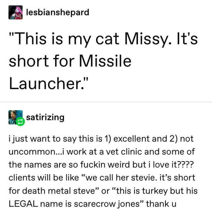 15. The second best part of having cats? Naming them.