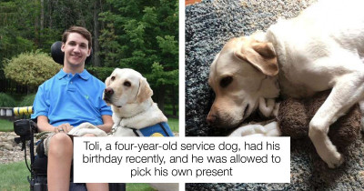 Special Service Dog Picks His Own Present On His Birthday