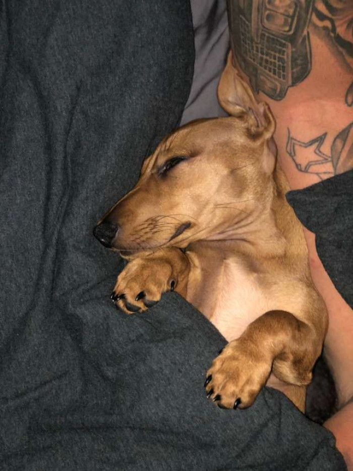 This is so, so sweet.