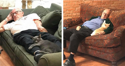Heartwarming Photos Leak of 75-Year-Old Man Napping with Rescue Cats, and the Internet Is Stoked
