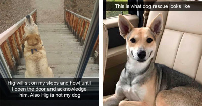 Dogs of Snapchat That Will Totally Brighten Your Day