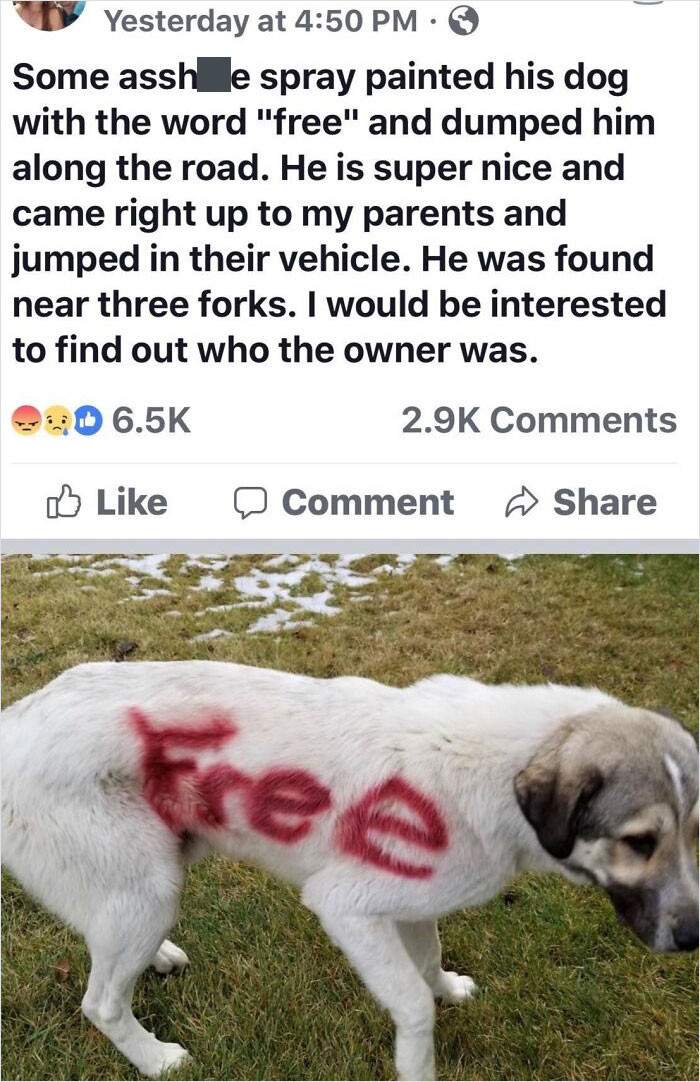 45. The worst dog owner