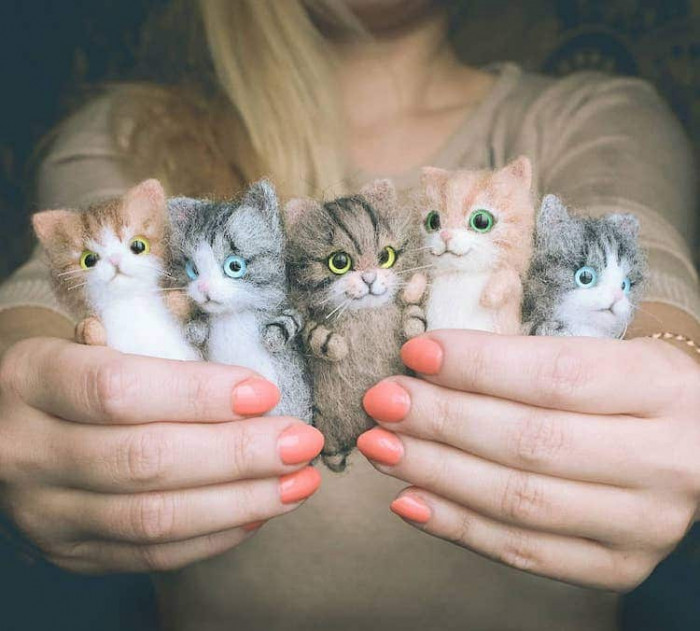 The cats often come in a variety of fur patterns as well; you're almost sure to see your favorite kind of kitty cat, whether it be a black void or a zesty ginger, and everything in between.