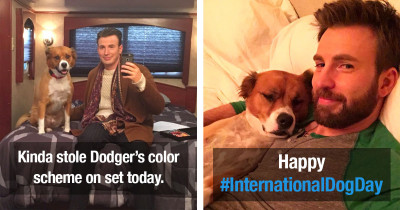 Dog Dad Chris Evans' Wholesome Tweets With His Dog Are The Best Thing On The Internet