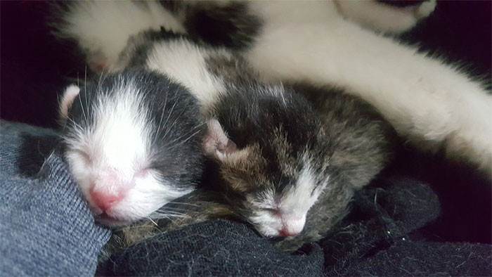 24. How could you not love these sweet little faces!