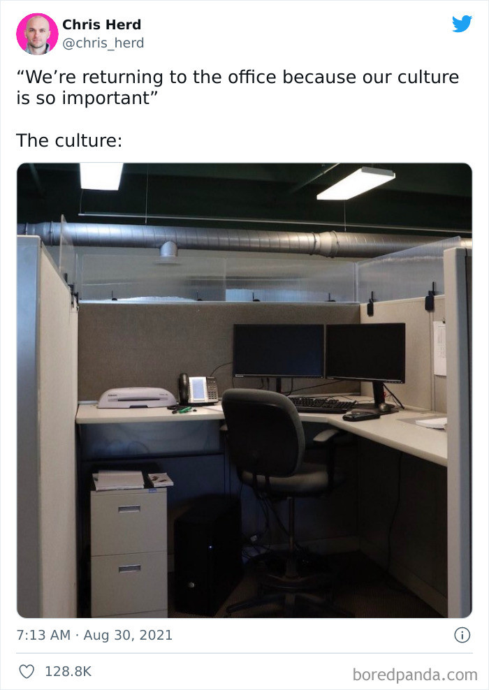 35. The office culture