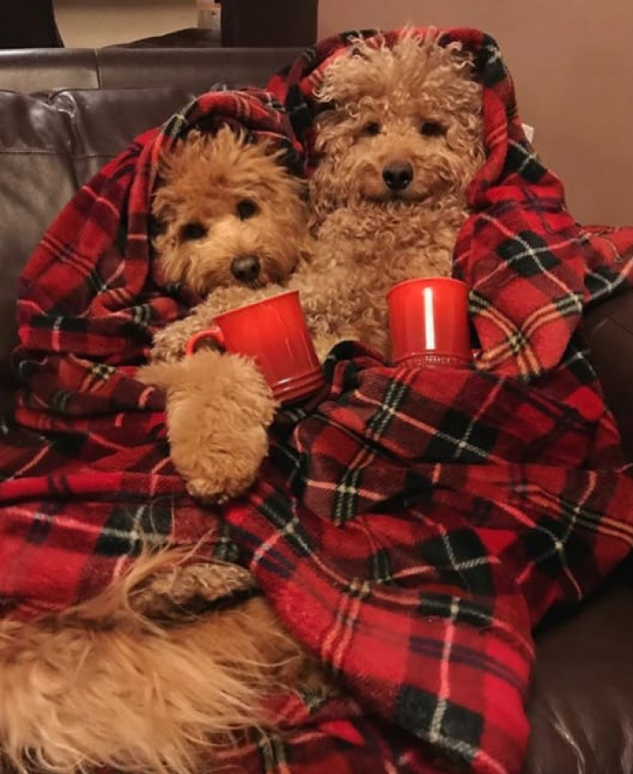 3. Who wouldn't be happy while looking that cozy?