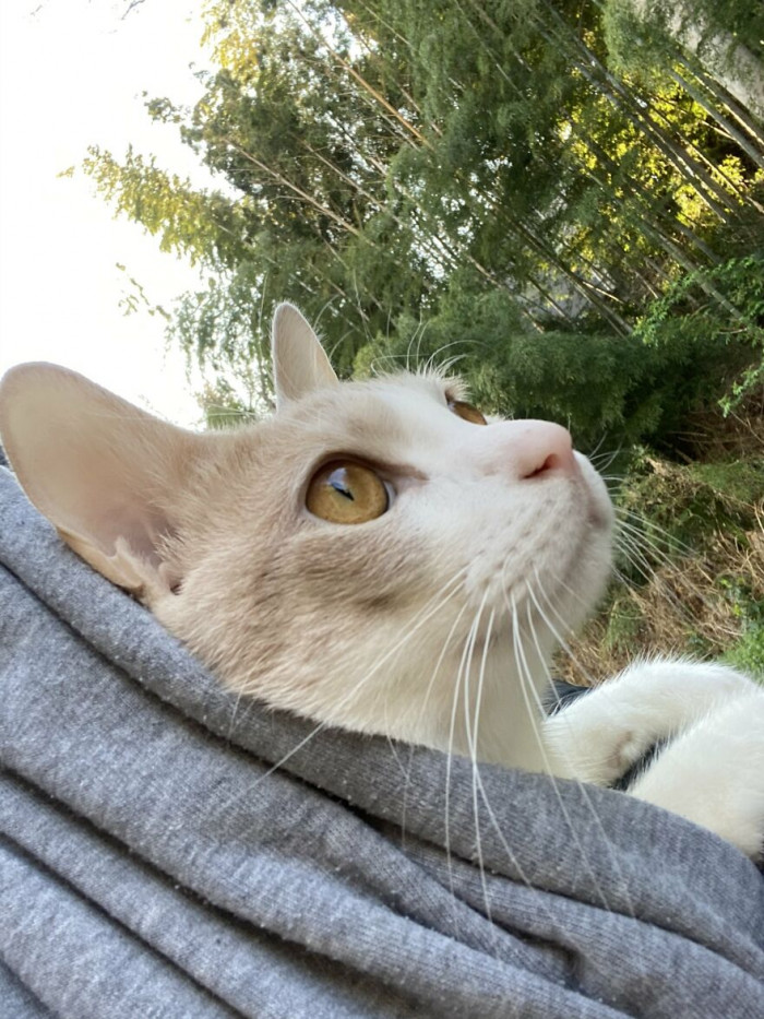 Miru-chan loves his surroundings.