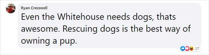 The White House needs dogs!