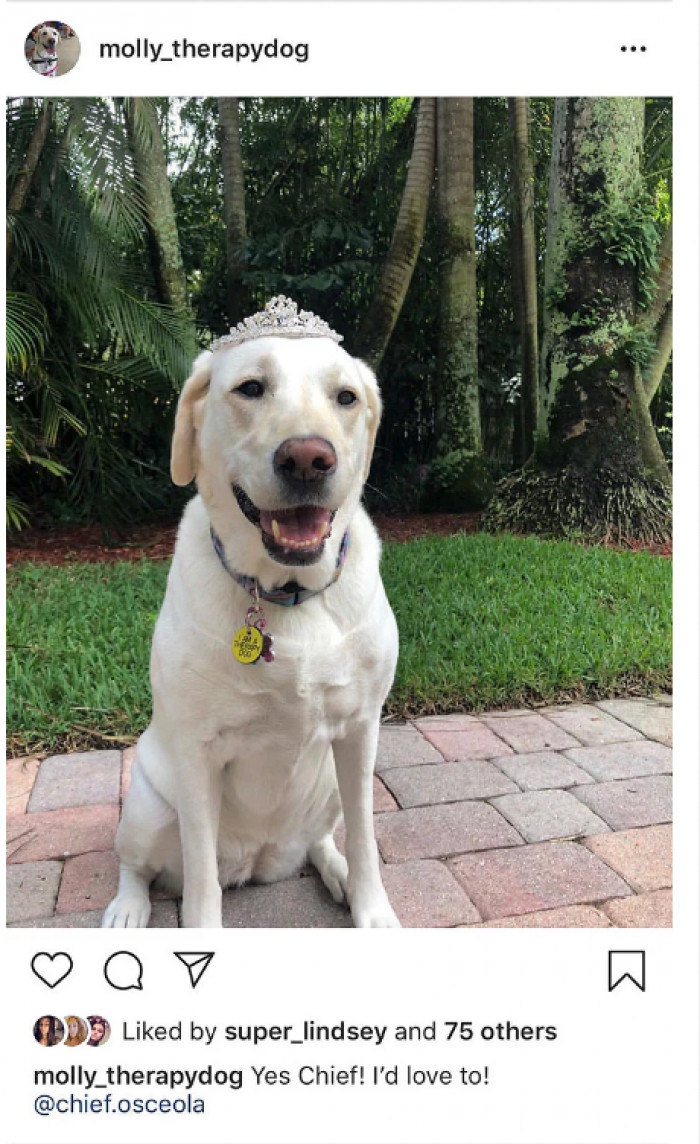 Local student with therapy dog Chief, celebrating love and prom stories