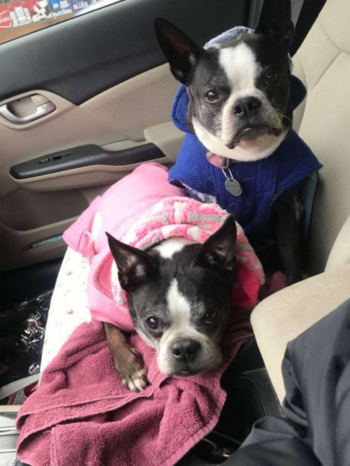 Candy and Spike