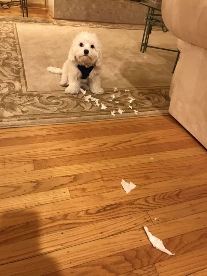 "Oh, these white things? They fell from the sky."