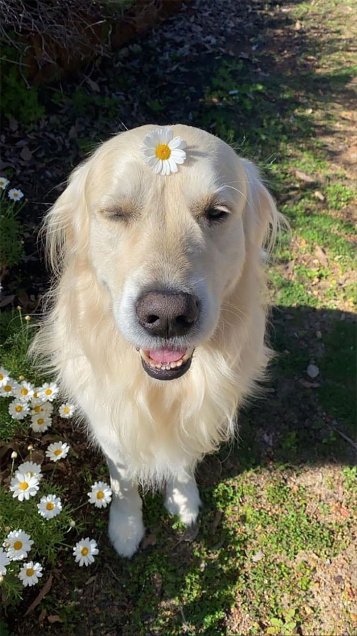 37. "This picture will make your day so much happier, I promise. This made mine."