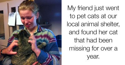 Lost Cats Found After Years Being Missing Provide Essential Inspiration