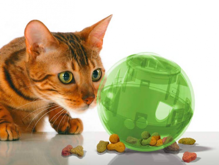 20. Treat Ball