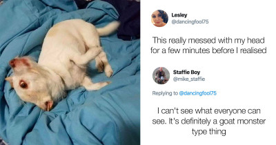 Peculiar Dog Photo Looks More Like a Bizarre Creature Than a Cute Dog, Puzzling the Whole Internet