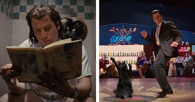 Cat Stars In Parody Of Tarantino’s "Pulp Fiction" And Has Taken Over The Internet
