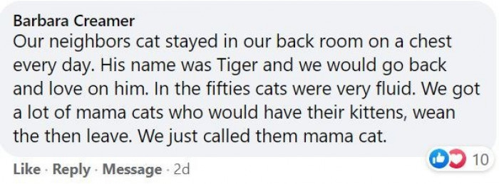 7. I didn't know this was a thing with cats in the fifties, but it sounds like standard cat behavior.