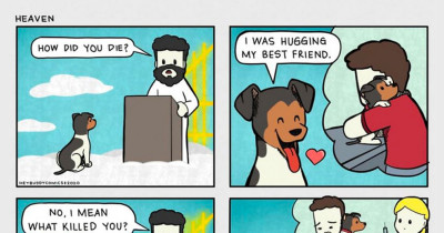 Dog Comics Inspired By Dogs That Most Dog Owners Can Relate To