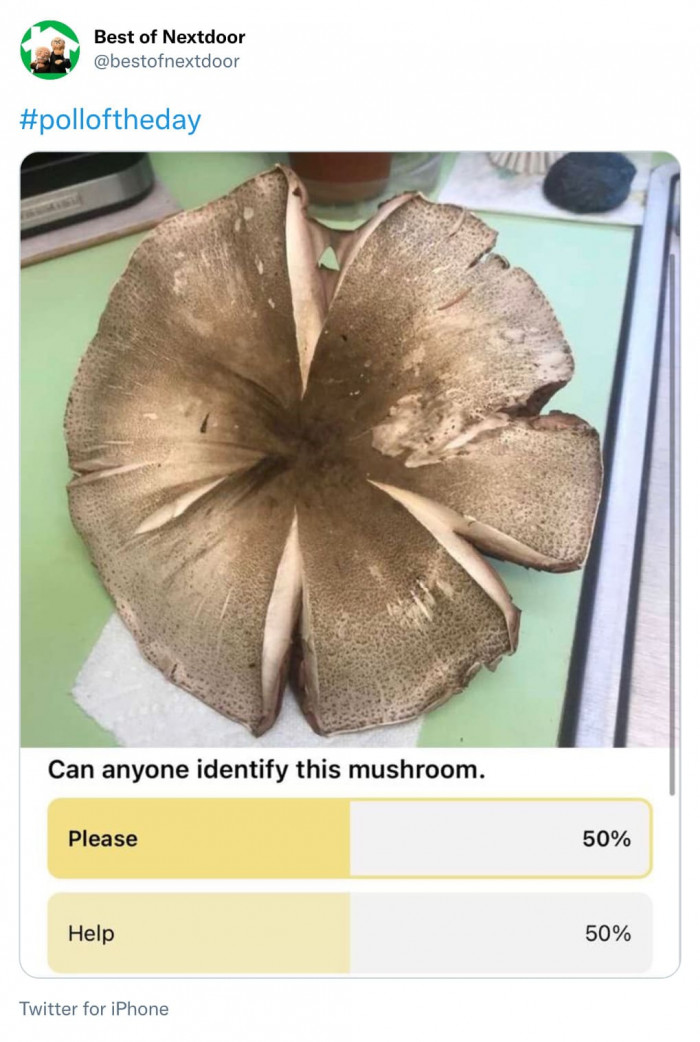 22. Hope he didn't eat it already.