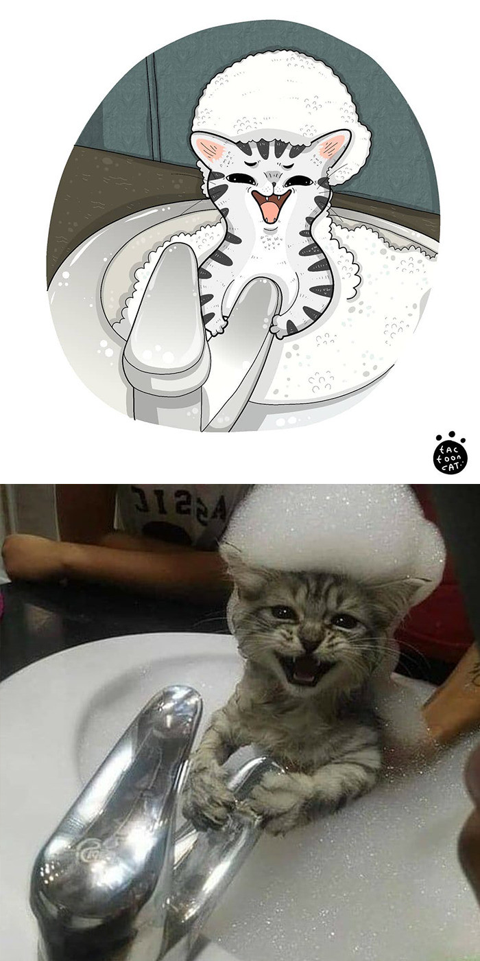 5. Bubble bath kitten