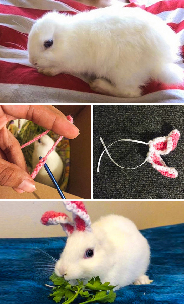 Knitted ears for the bunny