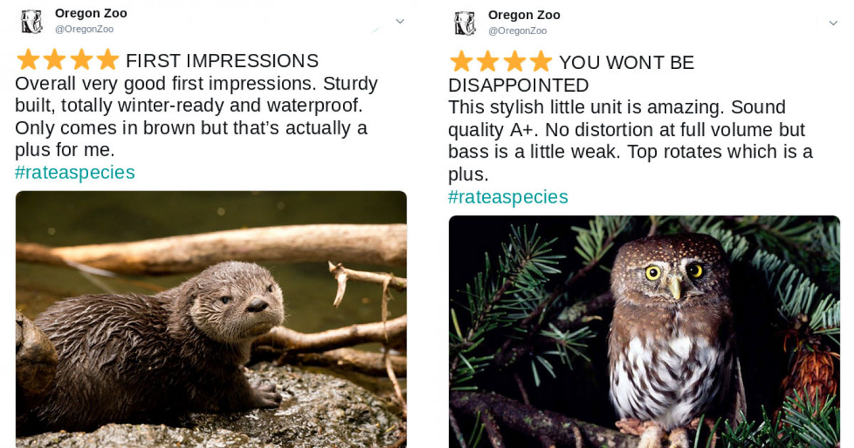 These Zoos Are Giving Their Animals AmazonLike Reviews And They're As Informative As They Are