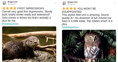 These Zoos Are Giving Their Animals Amazon-Like Reviews And They're As Informative As They Are Creative