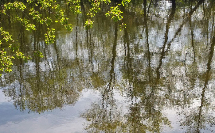 28. Even floating trees make the ocean look unsettling