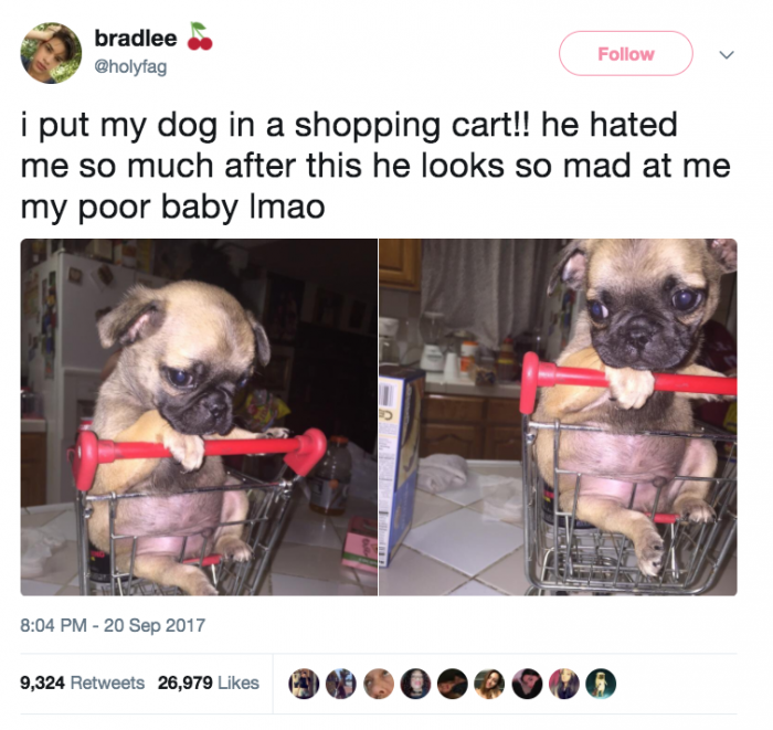 5. He isn't enjoying this at all