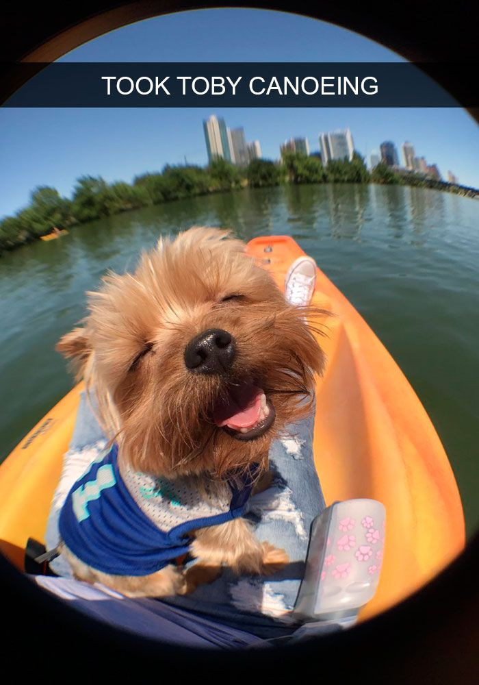 23. This is so pure I might actually DIE