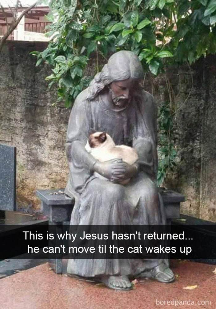 You Must Never Disturb a Sleeping Cat...