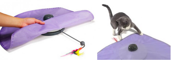 3. Electronic Cat Track