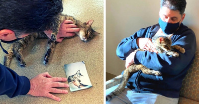 Kitten Reunited With Its Owner, Fifteen Years After They Were Separated