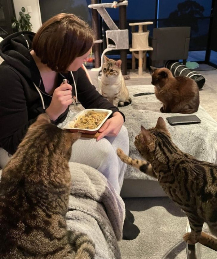 15. "Cat owners understand."