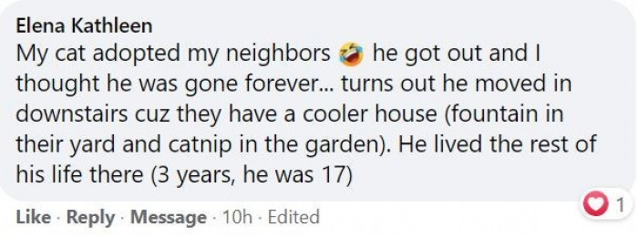 13. To be fair, cats absolutely love cool places, so this shouldn't be a surprise.