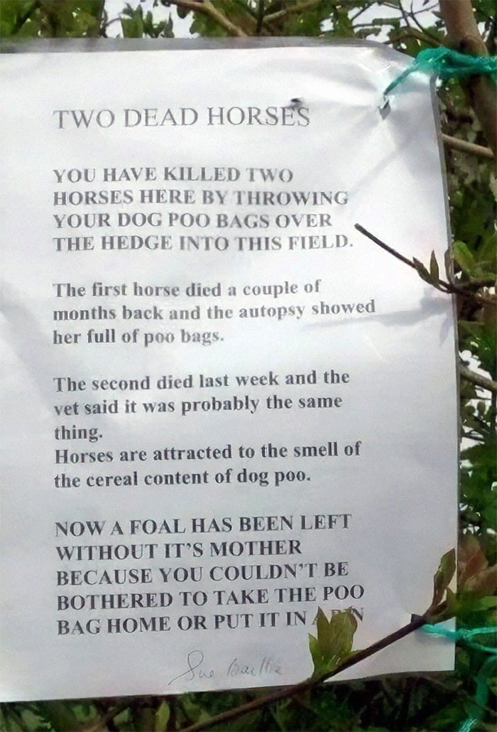2. This is a lot to take in for a morning walk - always properly dispose of pup poop bags!