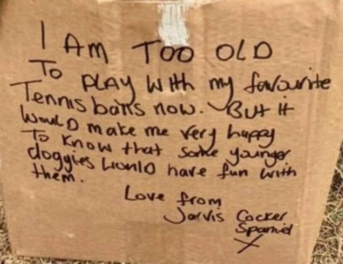 There was a message on the side of the box: “I am too old to play with my favorite tennis balls now. But it would make me very happy to know that some younger doggies would have fun with them. Love from Jarvis.”