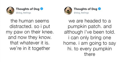 This Dog's Thoughts Are Being Shared On Twitter And They Are Brilliant