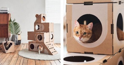 Creative Architect Couple Exploit Their Cat's Cardboard Box Obsession By Remodelling Them Into Cat Forts