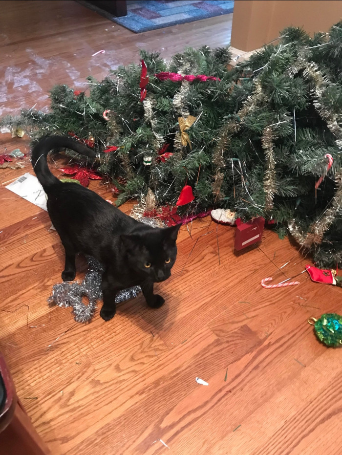 1. "It lasted 12 hours."