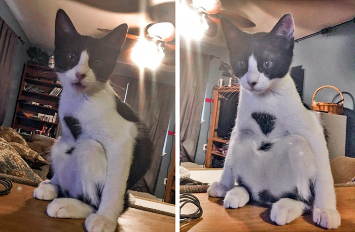 12. Well, the way she sits is itself a conversation starter.