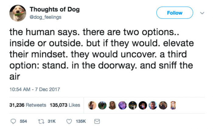 12. Is there a third option?