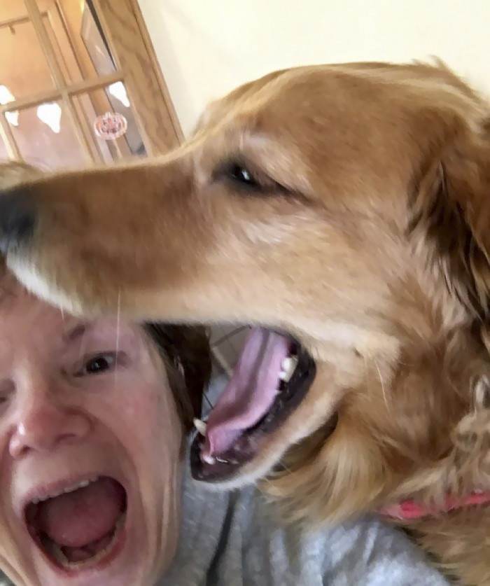 Ahh! He's going to eat her alive!