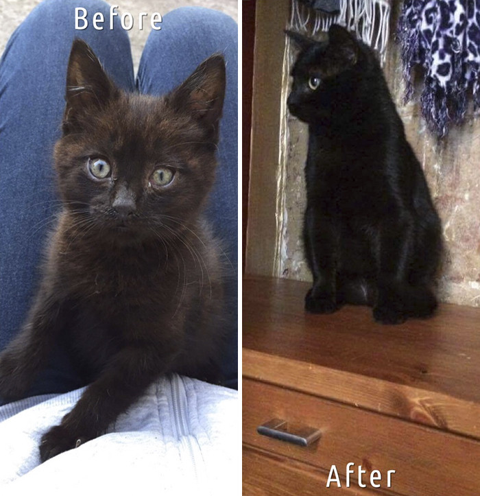 And her Instagram has over 2,000 followers.